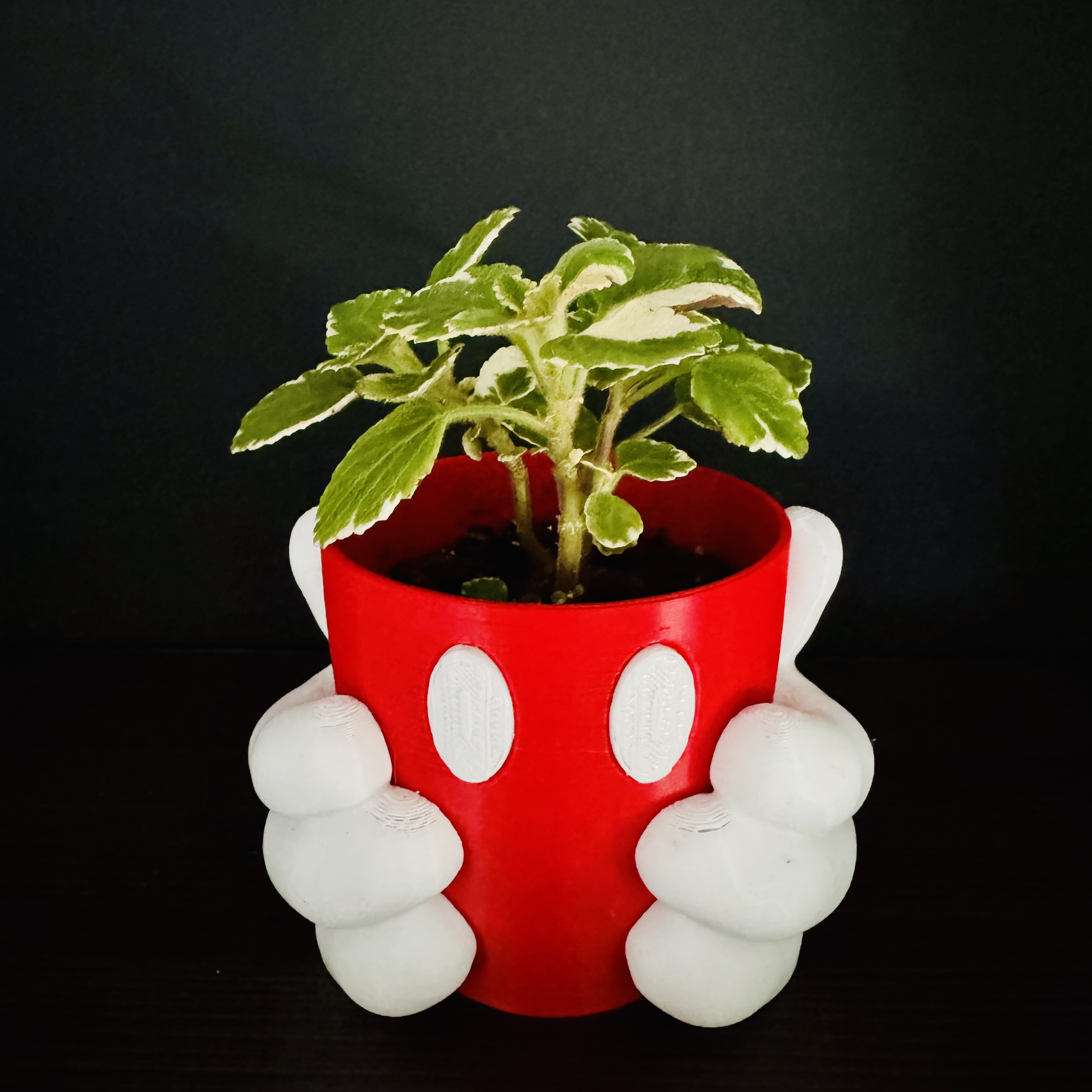 Maceta Mickey Manitos