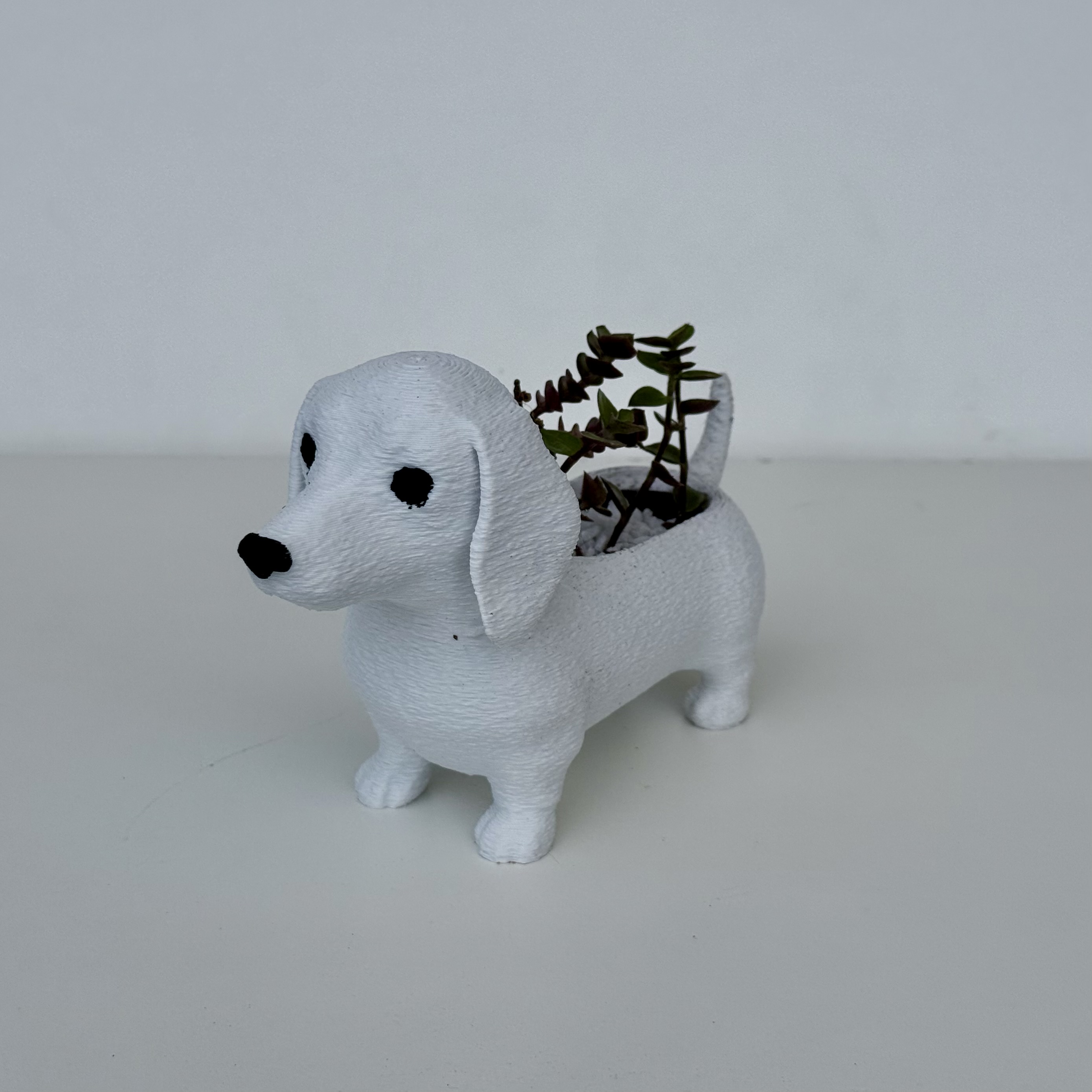 Maceta perrito salchicha