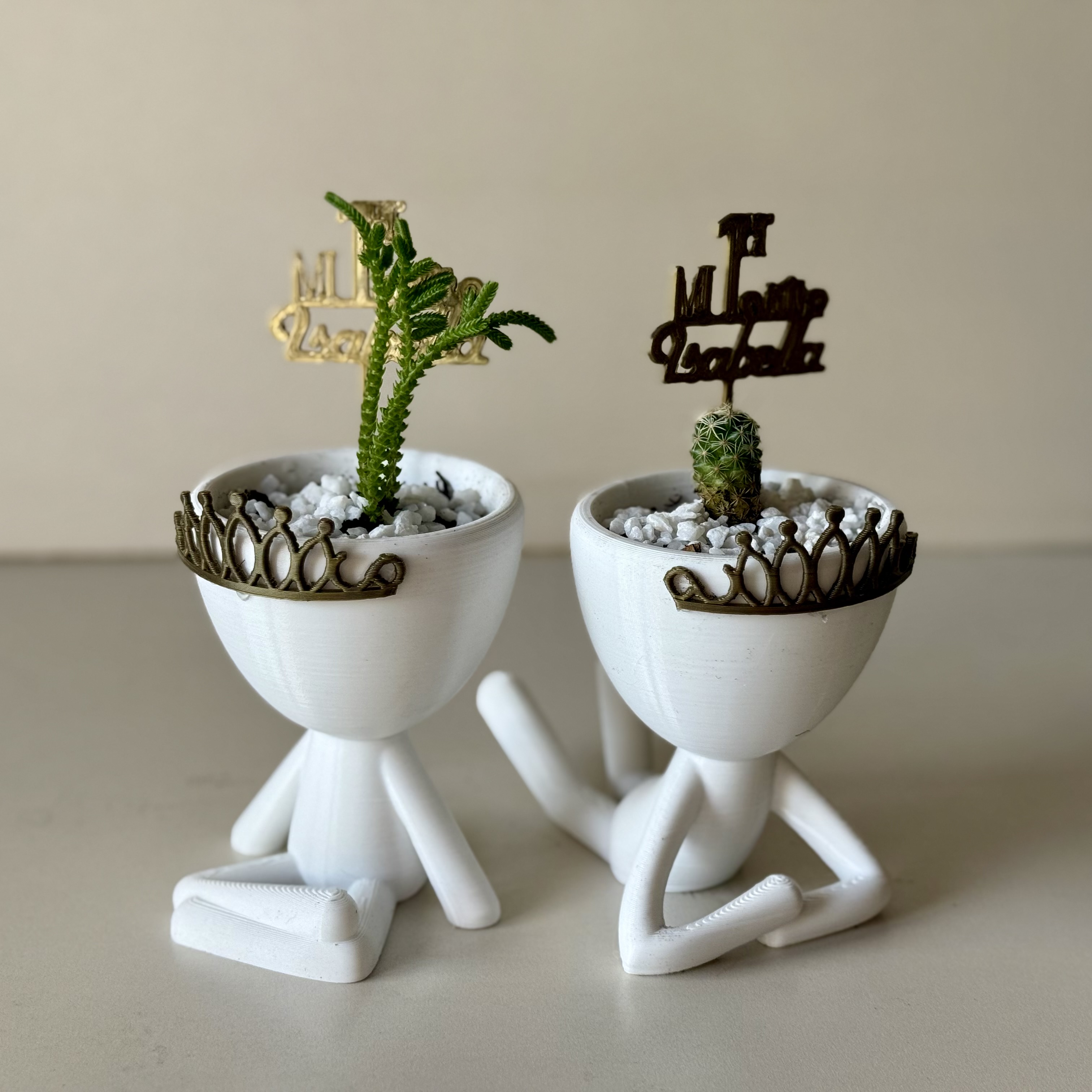 Robert plant princess