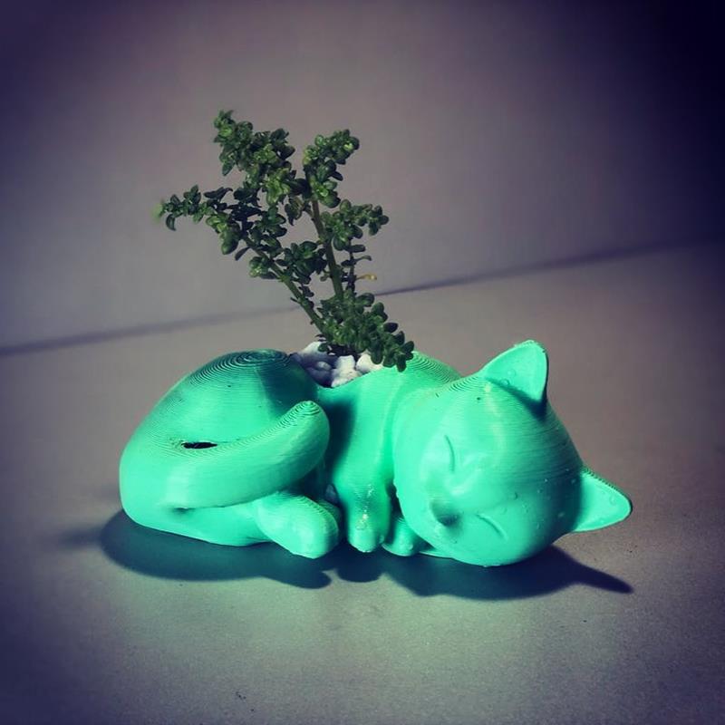 Maceta Gato Durmiendo