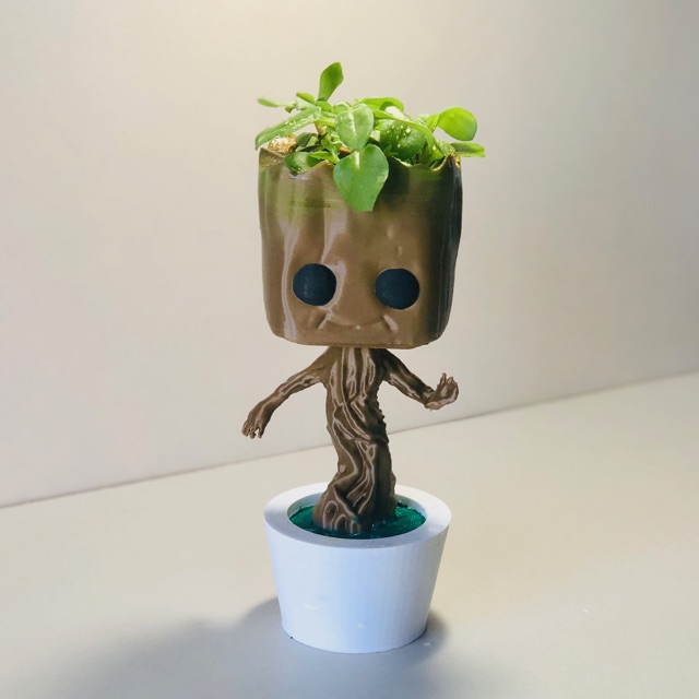 Groot formato maceta