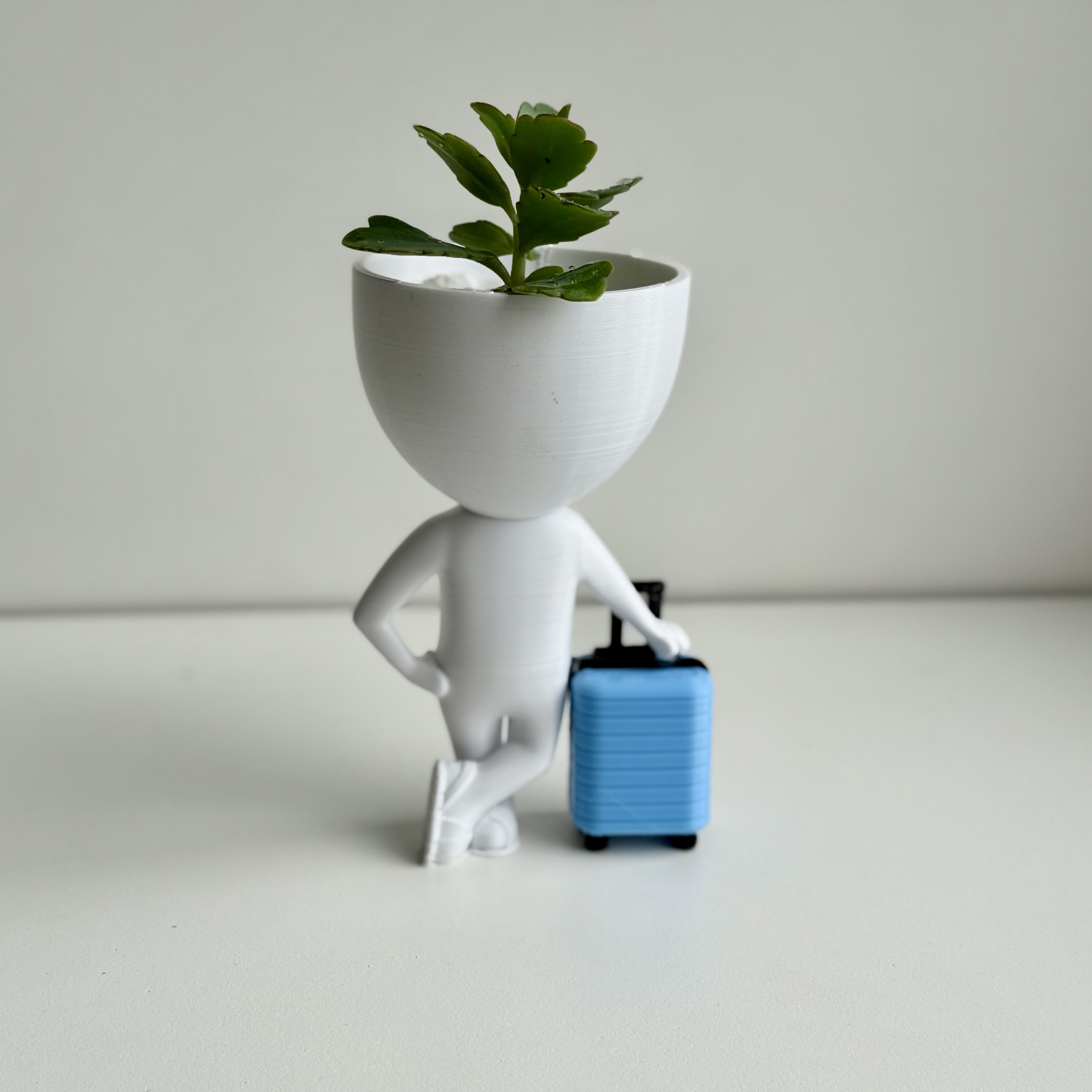 Robert plant viajero