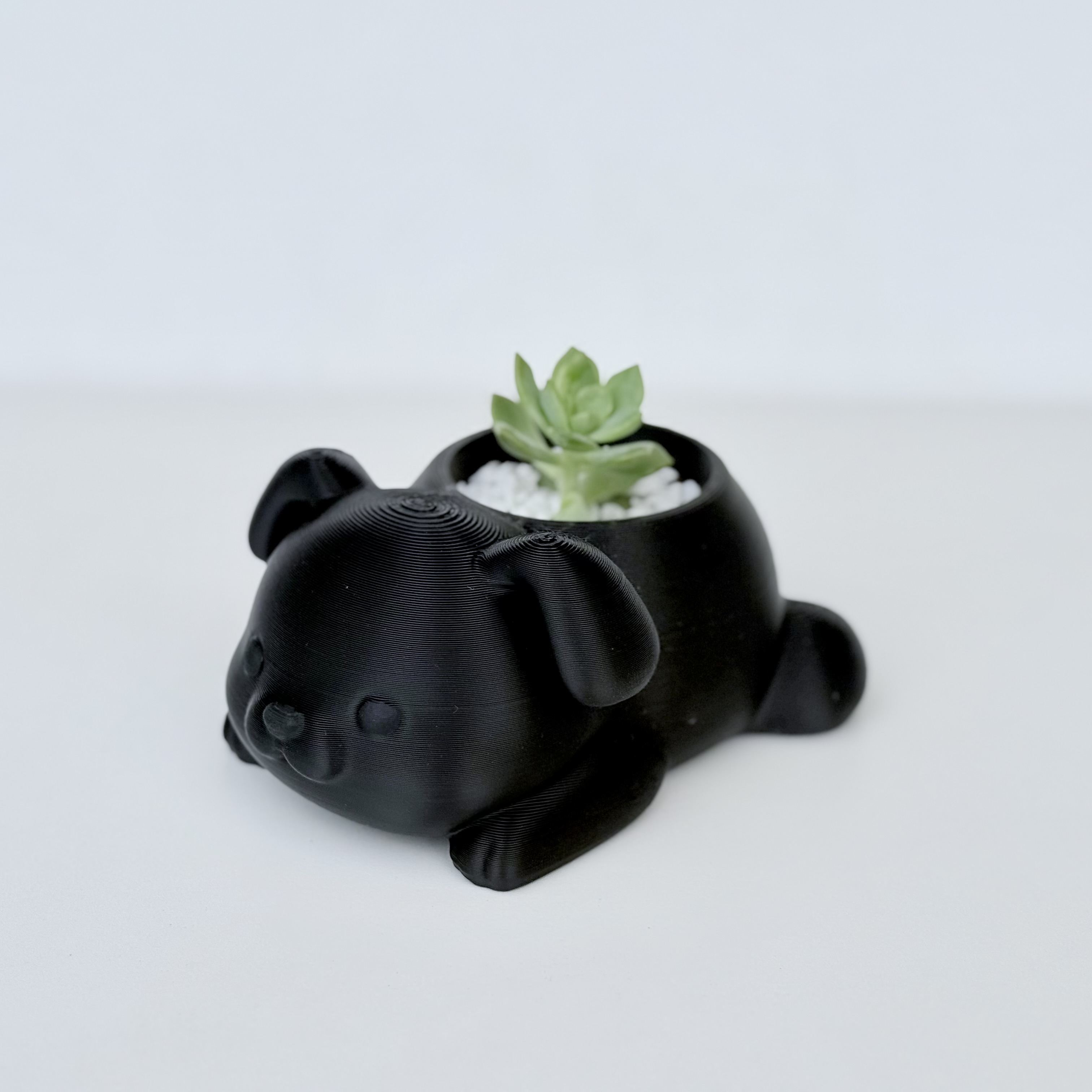 Maceta dogi acostado