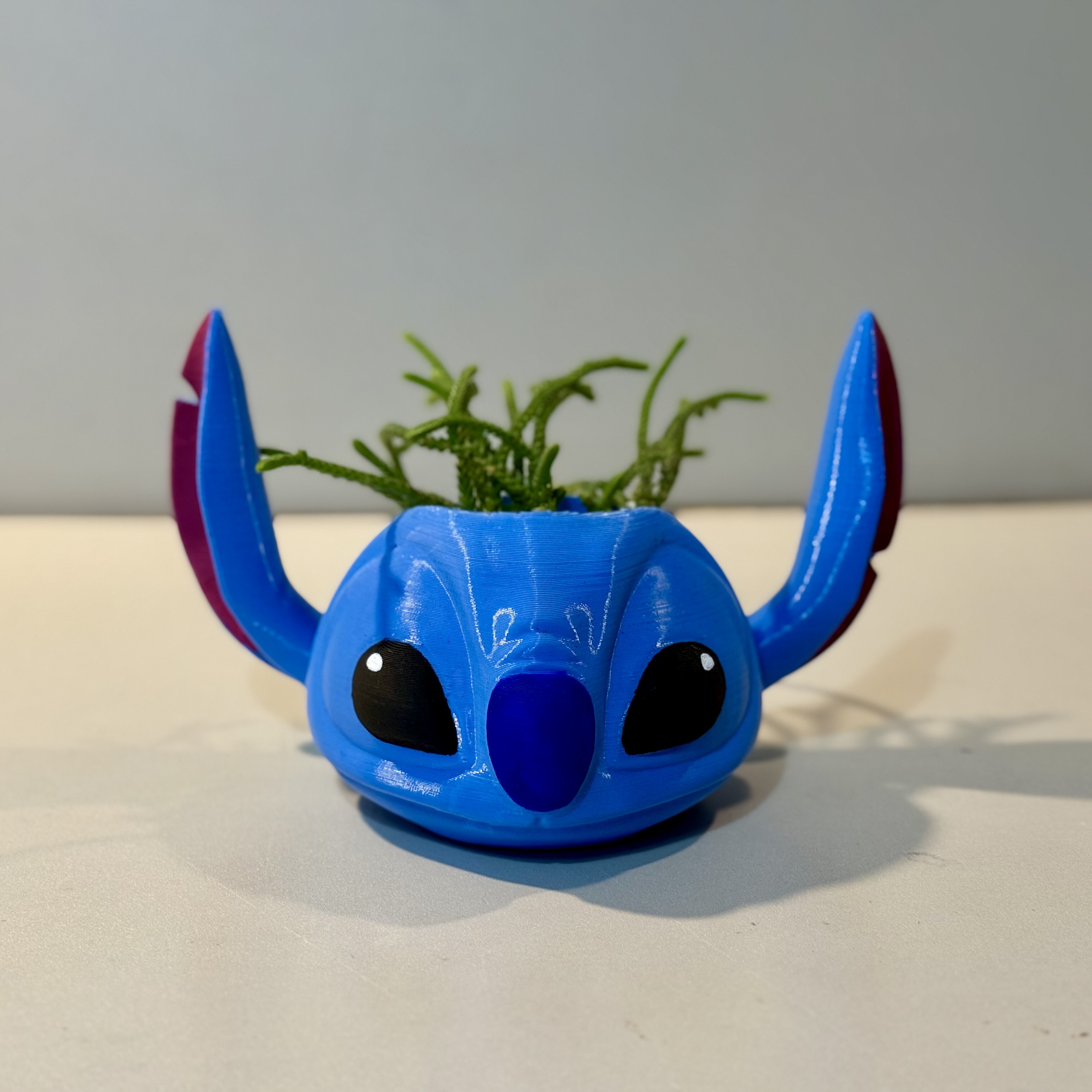 Maceta stitch