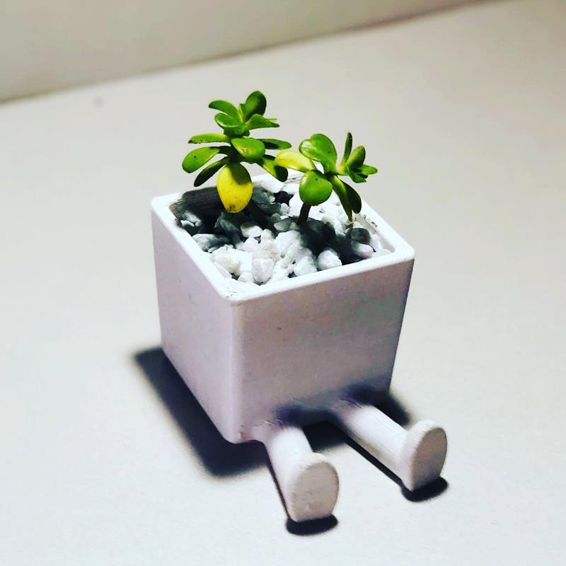 Maceta cuadrada Piecitos