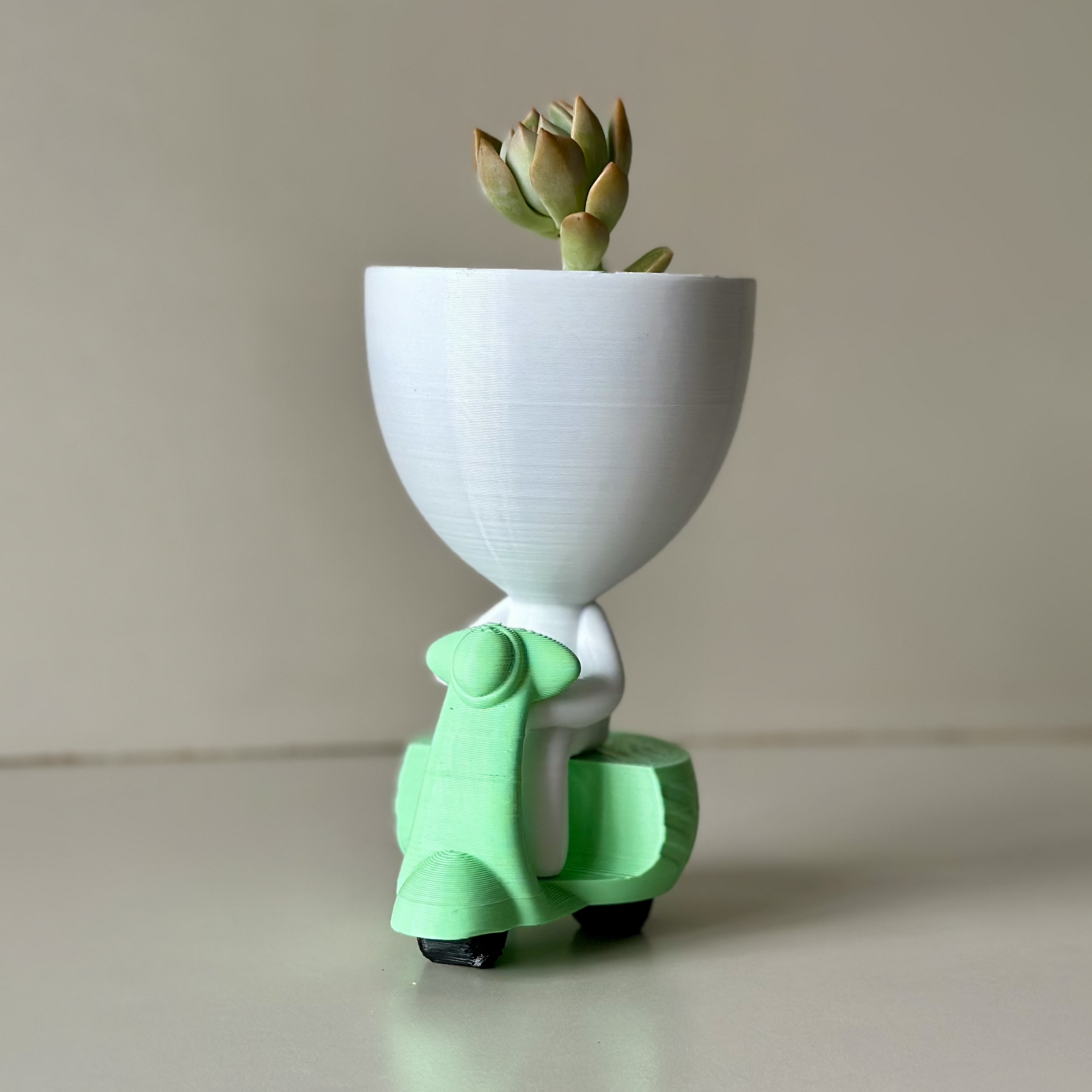 Robert plant Siambretta