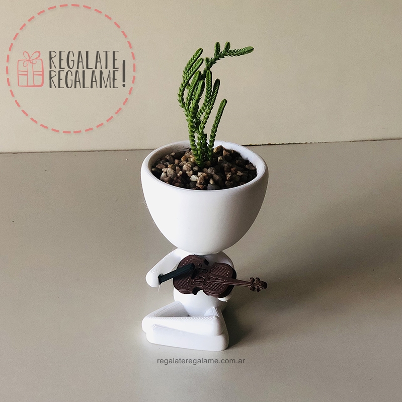 Robert plant violinista