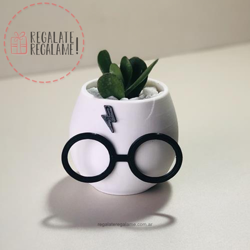 Maceta harry potter concep