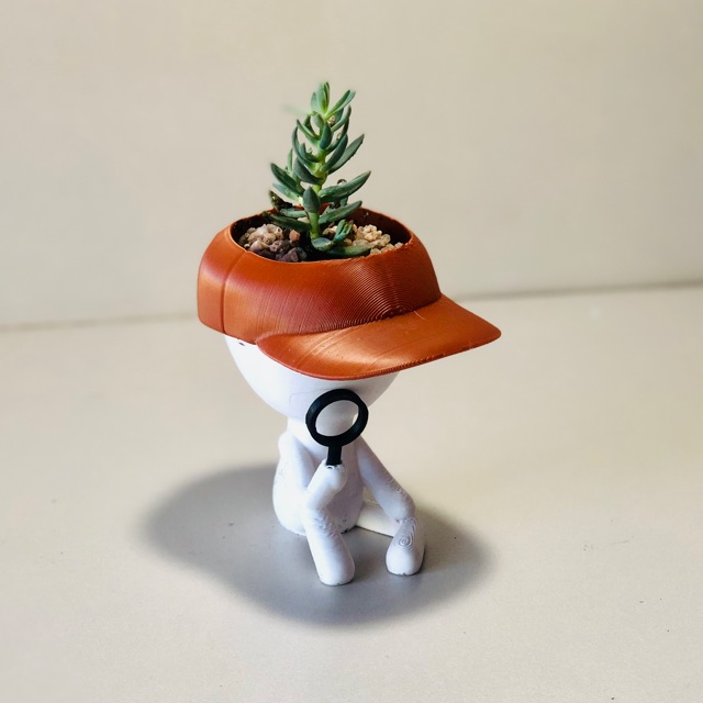 Robert plant Inspector