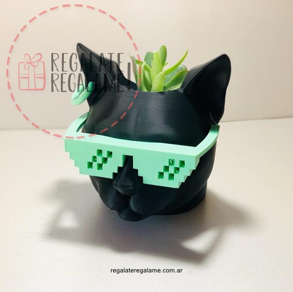 Maceta gato cool