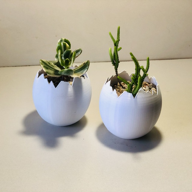 Macetas jurassic huevos