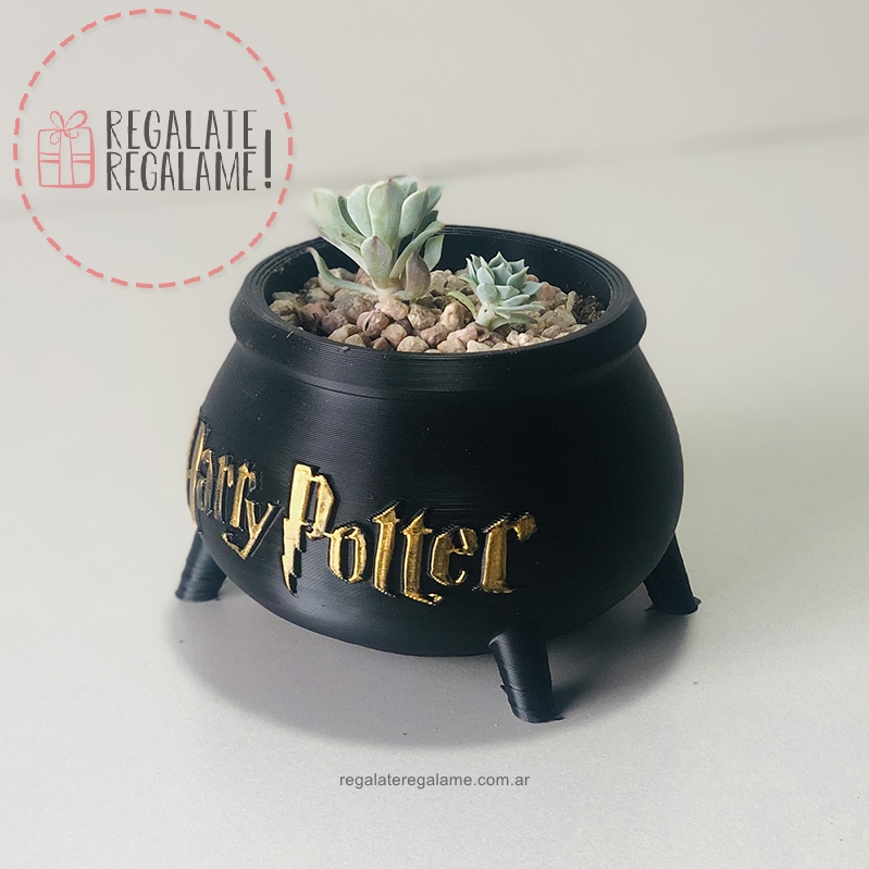Maceta olla harry potter