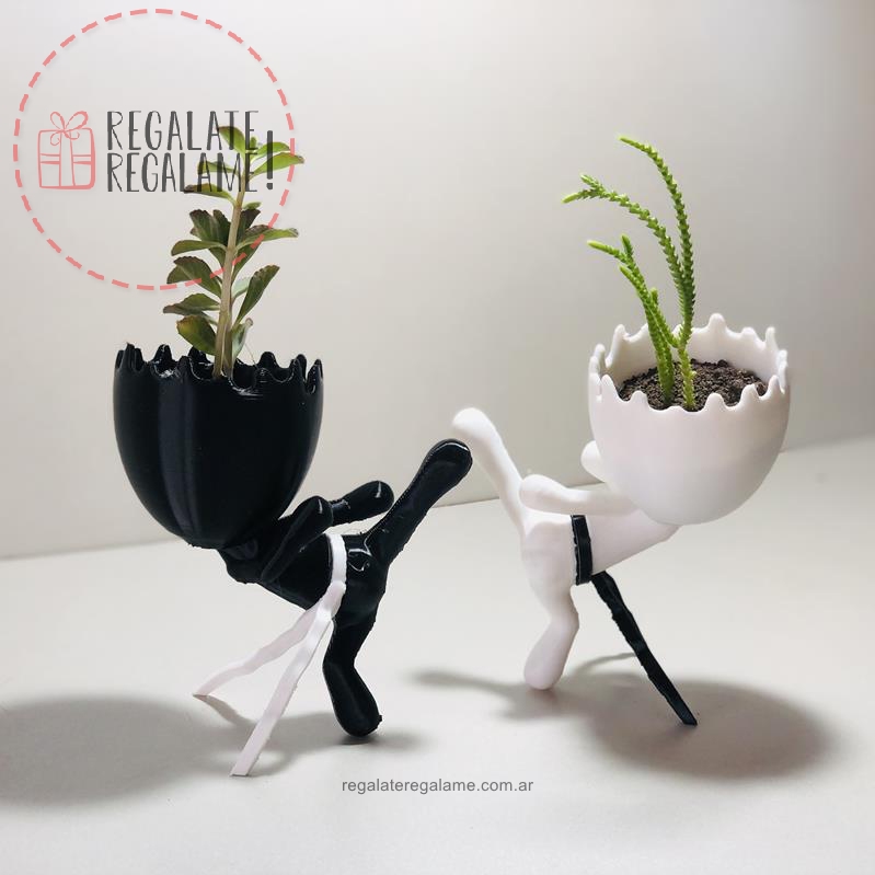 Robert plant Karateca