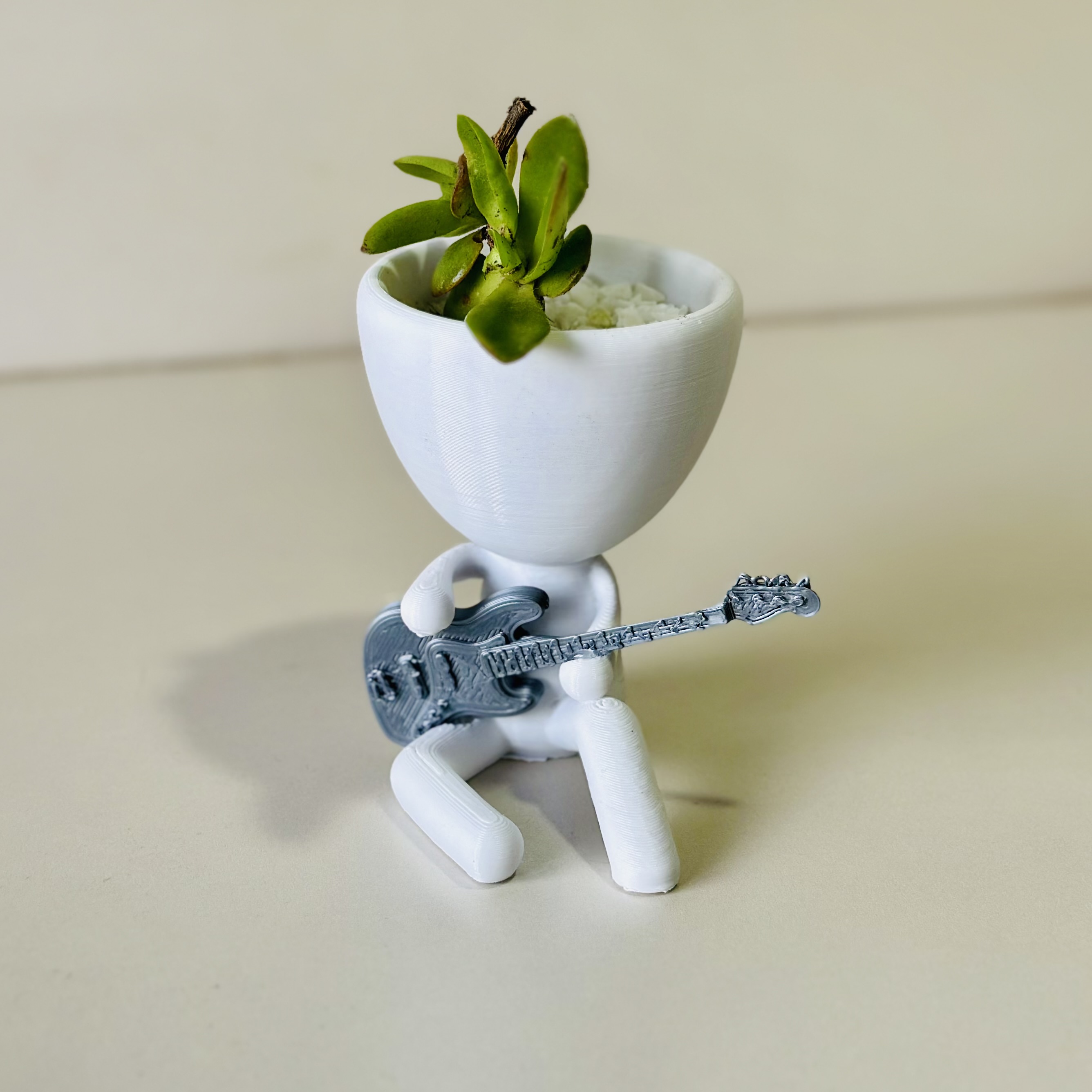 Robert plant bajo electrico