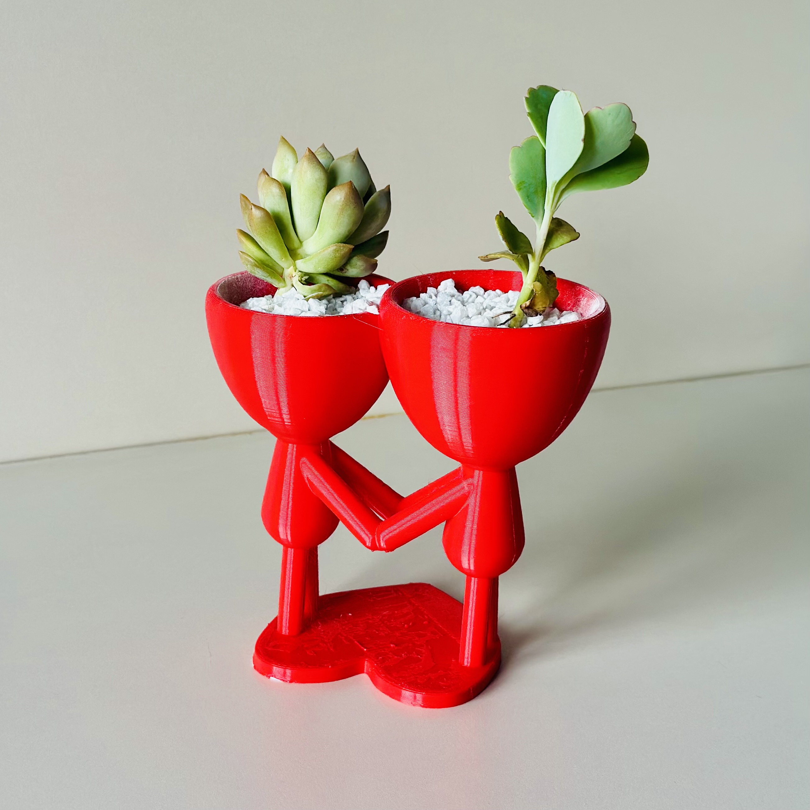 robert plant doble Enlazados