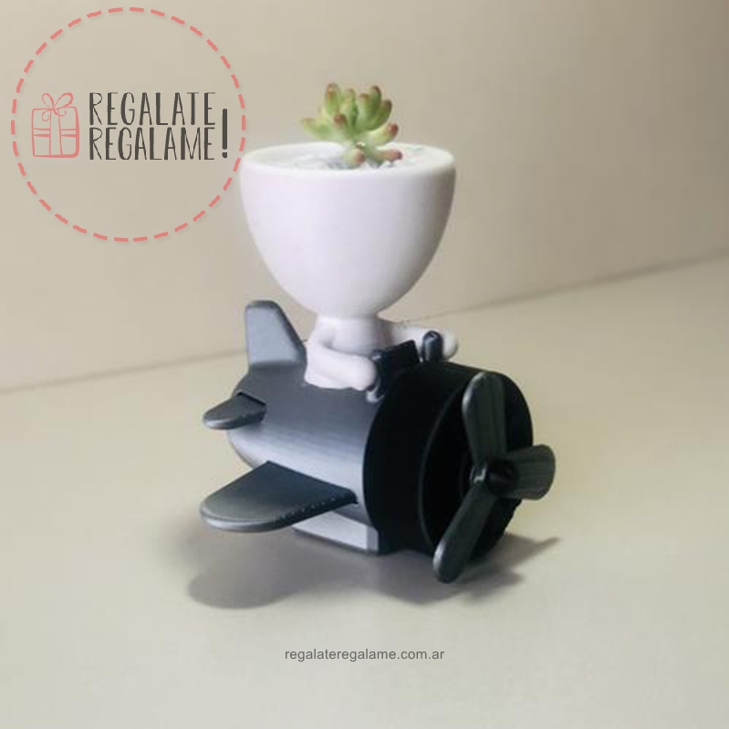 Robert Plant aviador