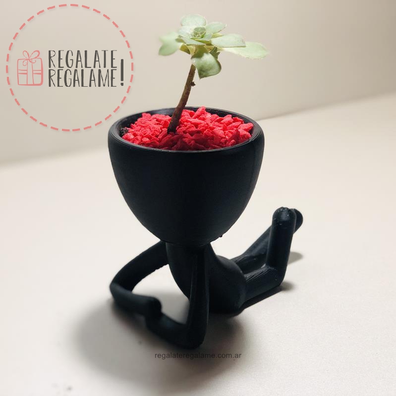 Robert Plant Acostado