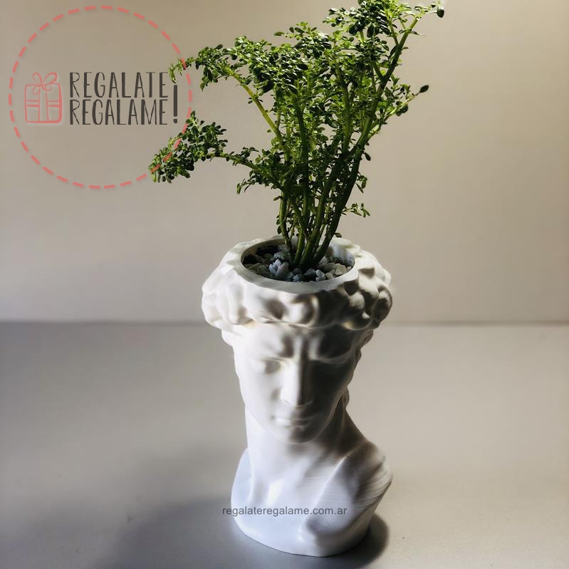 Maceta Escultura David