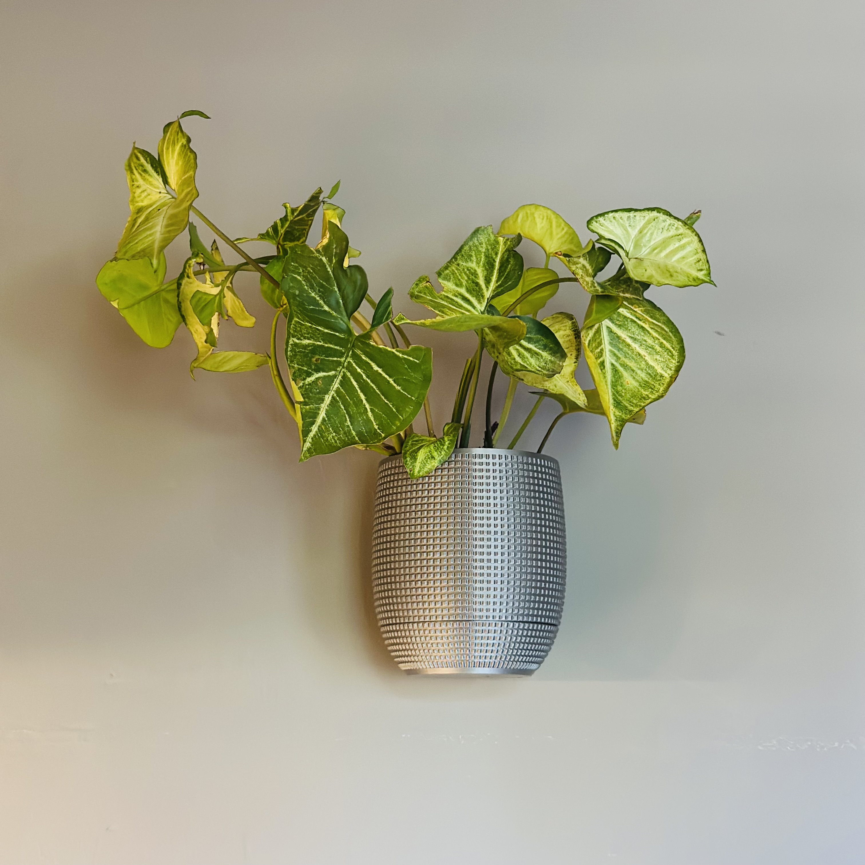 Maceta colgante Grid