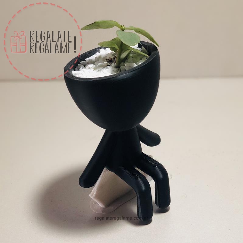 Robert Plant Pies colgando