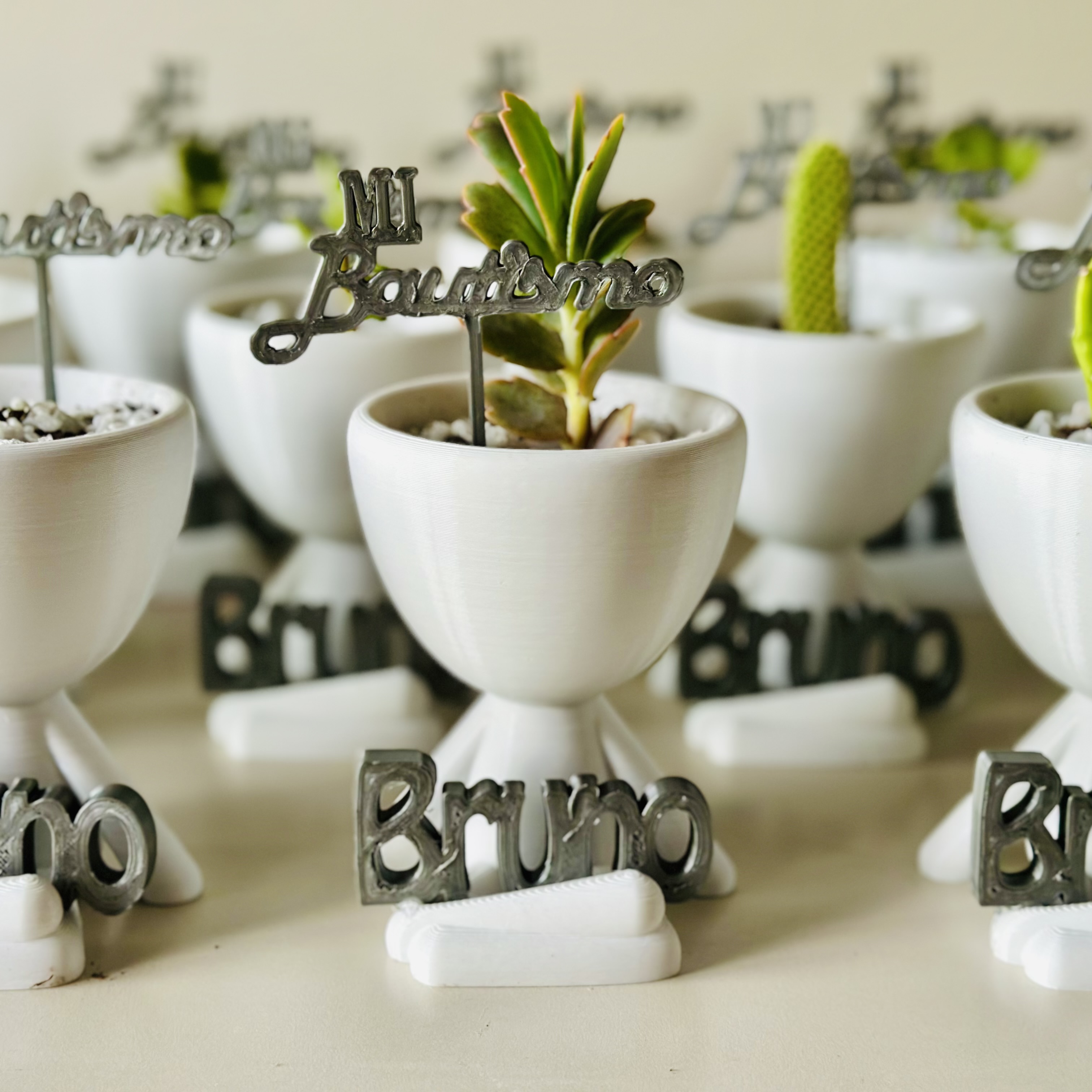 Robert plant personalizados con nombre