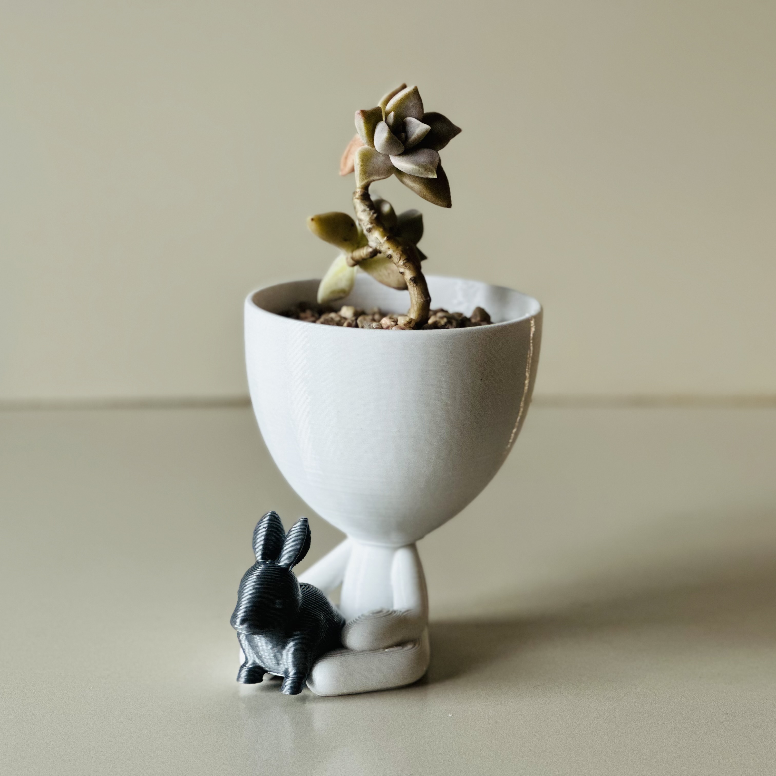 Robert plant con conejo